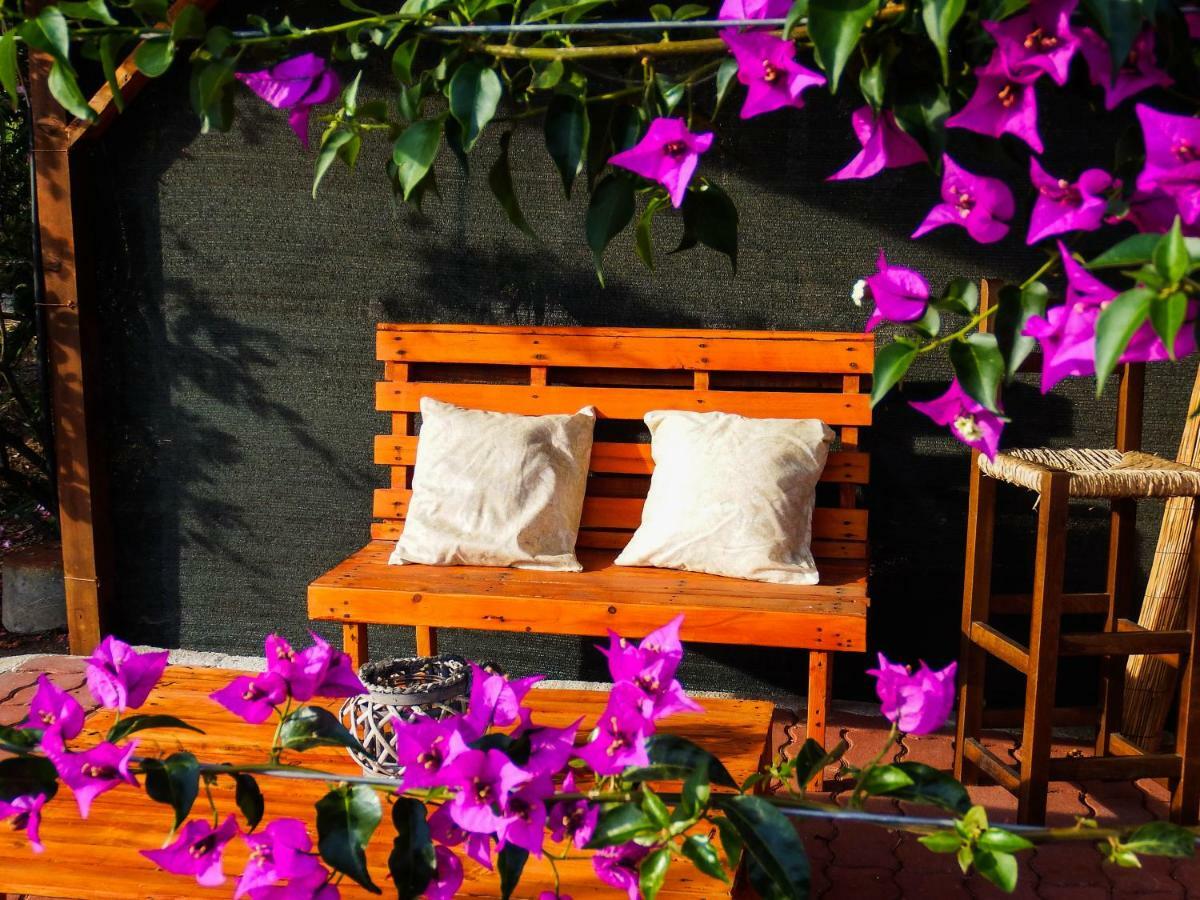B&B Cala Dolce Alghero Eksteriør billede